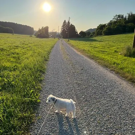Am Wald *