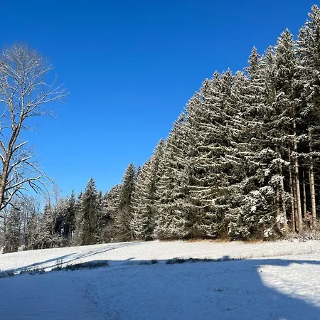Apartamento Am Wald *