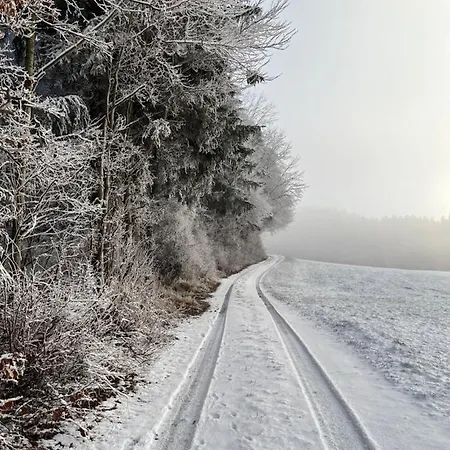 Am Wald Friesenried