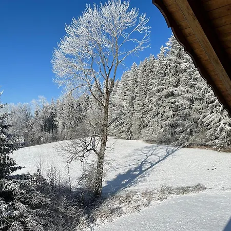 Am Wald Friesenried